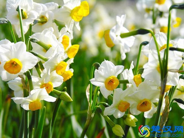 贾春新：中国金融业，“病”在哪儿？