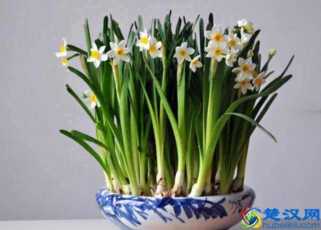 贾春新：中国金融业，“病”在哪儿？