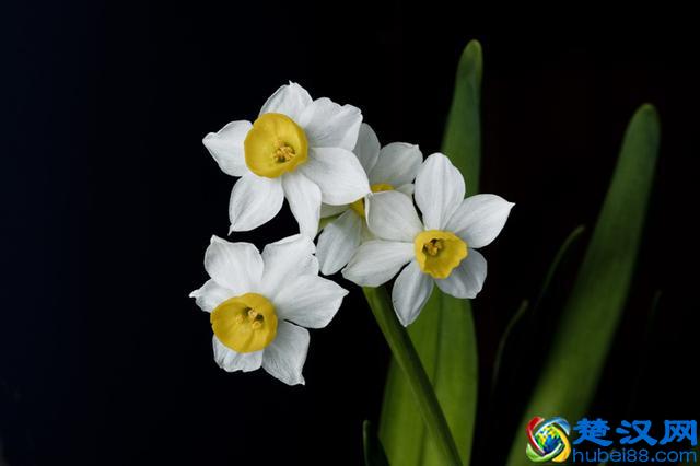 贾春新：中国金融业，“病”在哪儿？