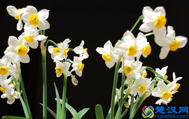 刚刚，央视2019年春晚节目单公布！