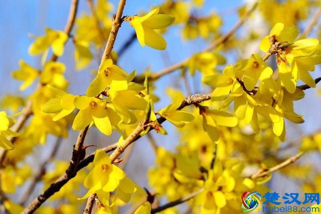 高新技术产业发展的全球经验和中国思考