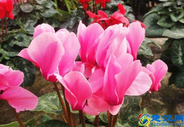 欧兰OEM精油厂家提供几个失眠的解决方案