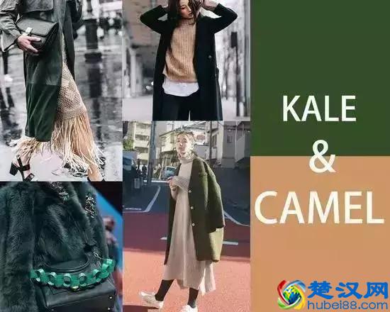 军绿色大衣应该内搭什么颜色？