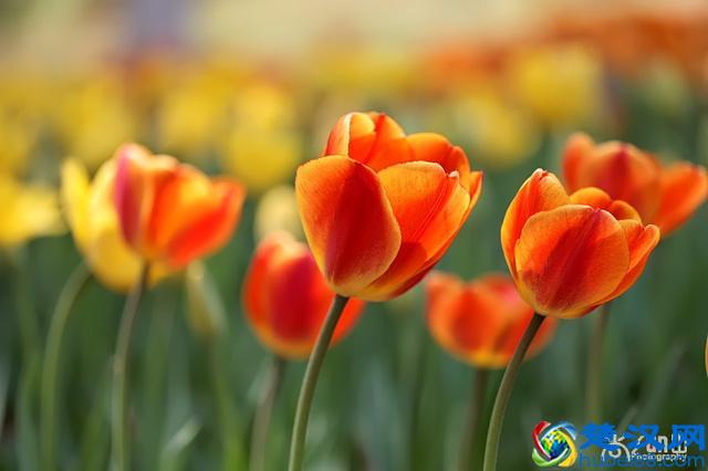 豆瓣年度读书榜单｜2019年读书清单参考指南