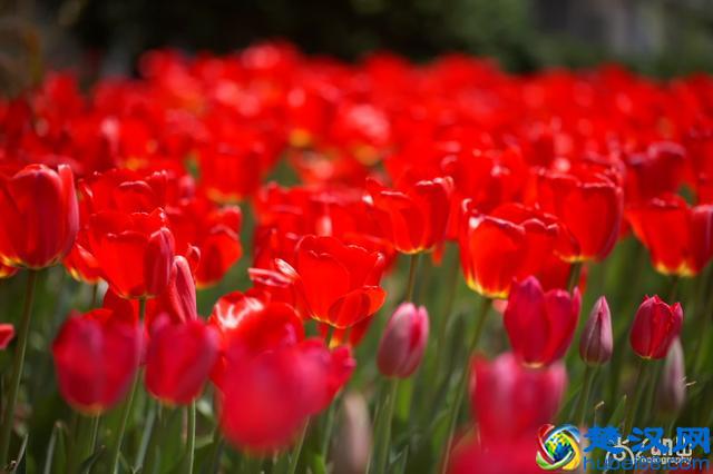 豆瓣年度读书榜单｜2019年读书清单参考指南