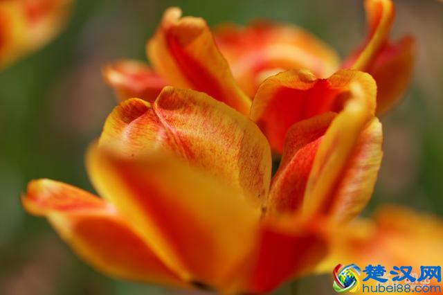 豆瓣年度读书榜单｜2019年读书清单参考指南