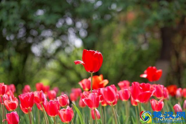 豆瓣年度读书榜单｜2019年读书清单参考指南