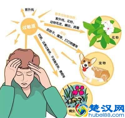 角质层薄皮肤干燥易过敏怎么办？专家教你春季防过敏