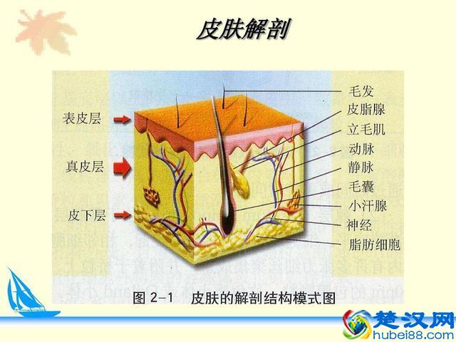 角质层薄皮肤干燥易过敏怎么办？专家教你春季防过敏