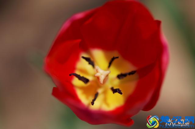 豆瓣年度读书榜单｜2019年读书清单参考指南