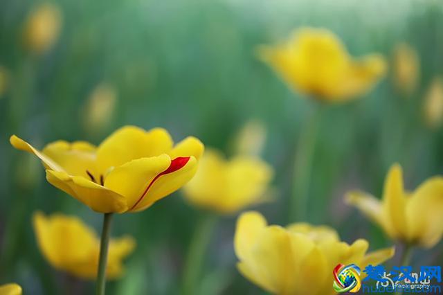 豆瓣年度读书榜单｜2019年读书清单参考指南