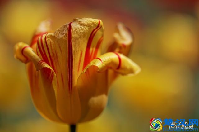 海德格尔的死亡教育：什么是"向死而在"？