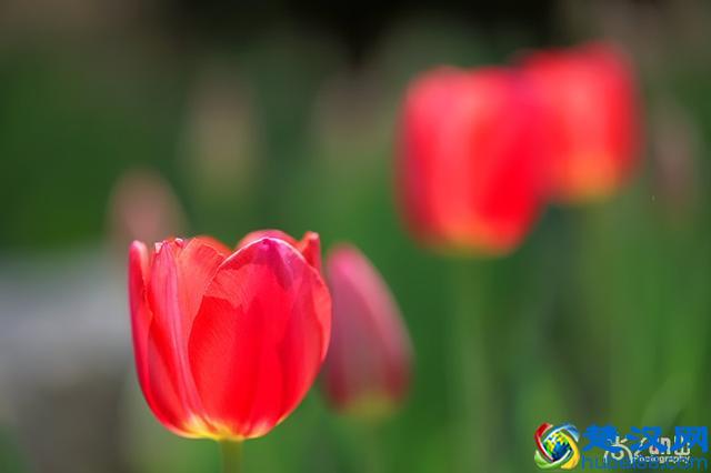 海德格尔的死亡教育：什么是"向死而在"？