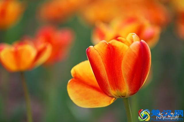 海德格尔的死亡教育：什么是"向死而在"？