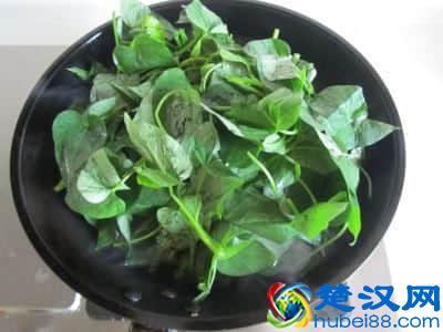 怎么做腐乳红薯叶最好吃