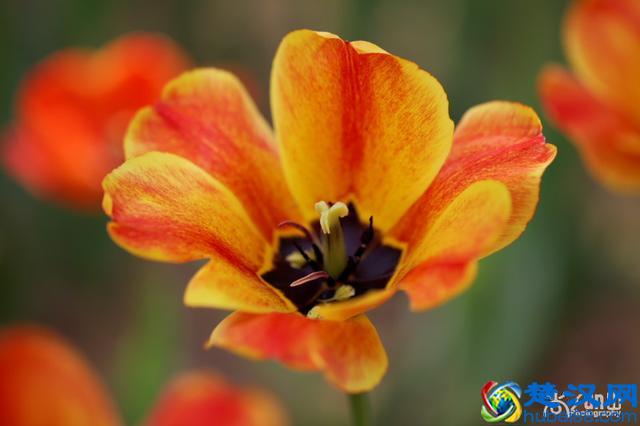 海德格尔的死亡教育：什么是"向死而在"？