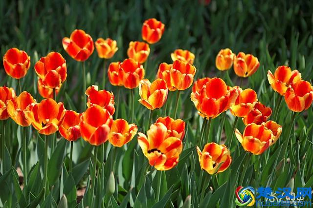 海德格尔的死亡教育：什么是"向死而在"？