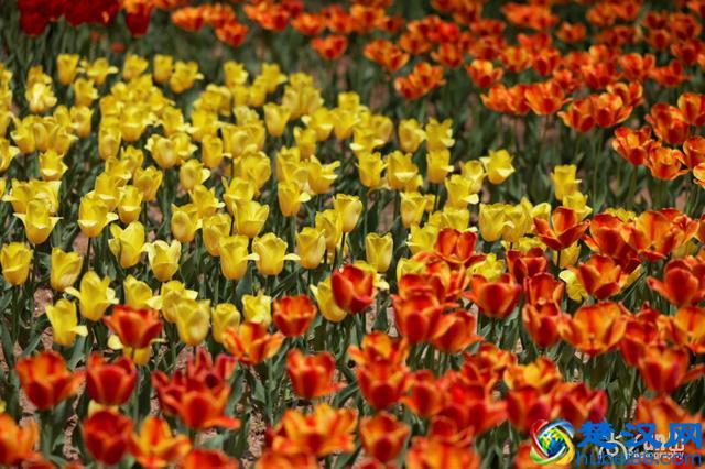 亲历！给大龄IT人的几点求职建议