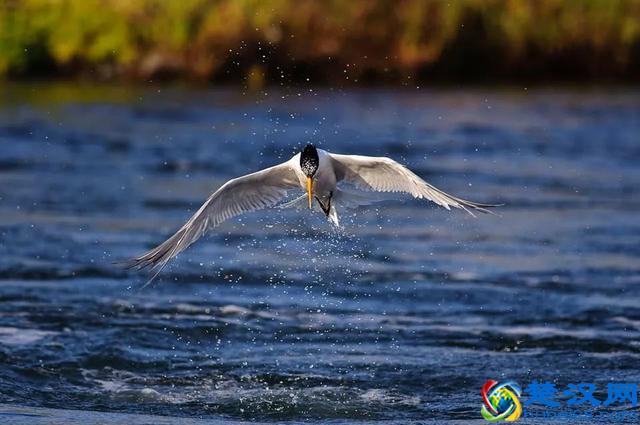 手机专业模式，快门速度到底用多少合适？