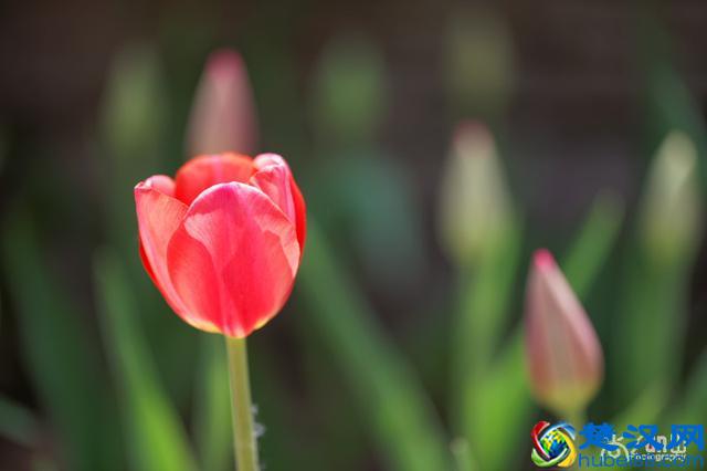 亲历！给大龄IT人的几点求职建议