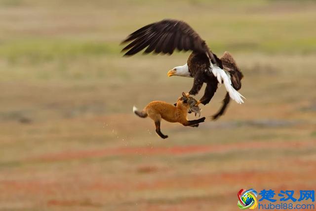 手机专业模式，快门速度到底用多少合适？