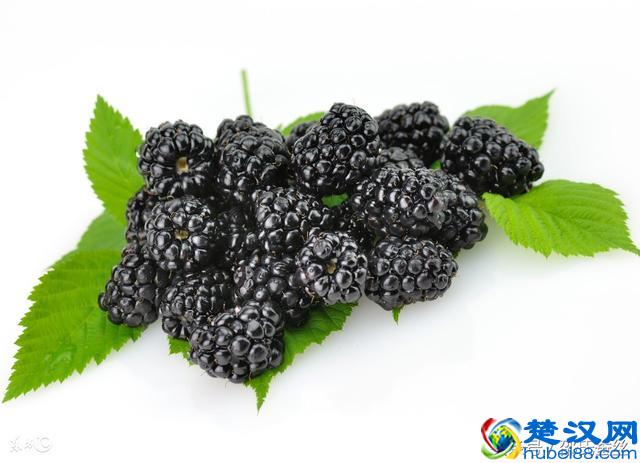 你可曾喝过“世界五大酒类”中的紫酒？