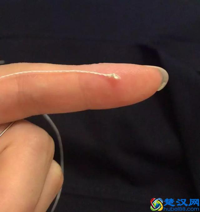 你还在为缝补衣服糟心吗？收藏这几家好店解决你的缝衣问题