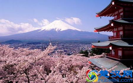 世界各国国花都是啥？哪个国家的是仙人掌？玫瑰花又是哪个国家的