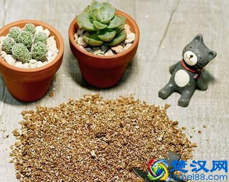 个人开店适合女人做的8个小生意！