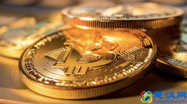 不违法的前提下，用1000块钱投资什么项目可能产生的收益率最高？