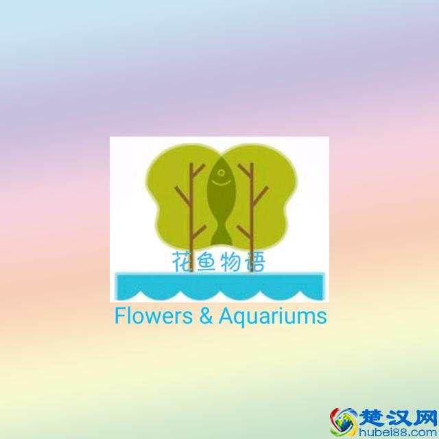 盆栽石榴花怎么养？什么时候会开花？