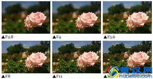 摄影入门知识：如何设置相机光圈、快门、感光度？