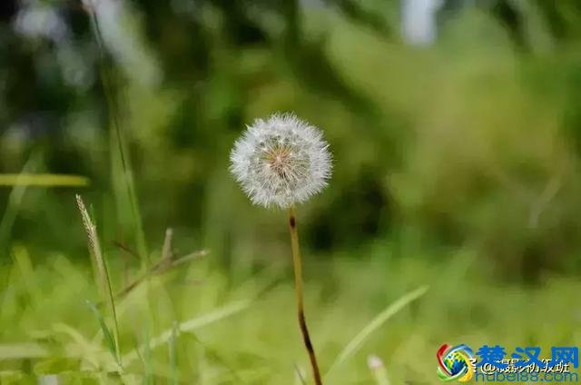 摄影入门知识：如何设置相机光圈、快门、感光度？