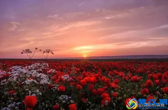 摄影入门知识：如何设置相机光圈、快门、感光度？