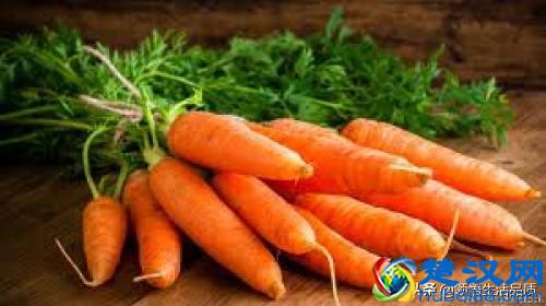 教你如何补充胶原蛋白，以下10钟食物帮你恢复肌肤年轻