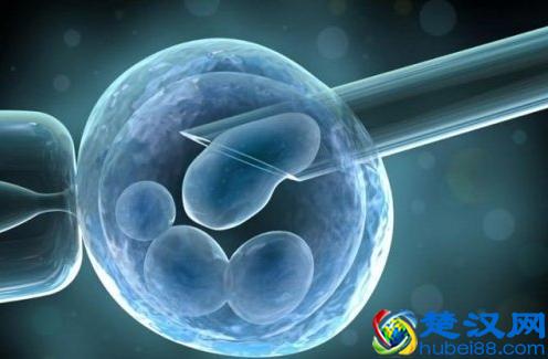 霍金再次预言：人类将会在未来百年内真正实现永生的科学技术 还称有依据说明！