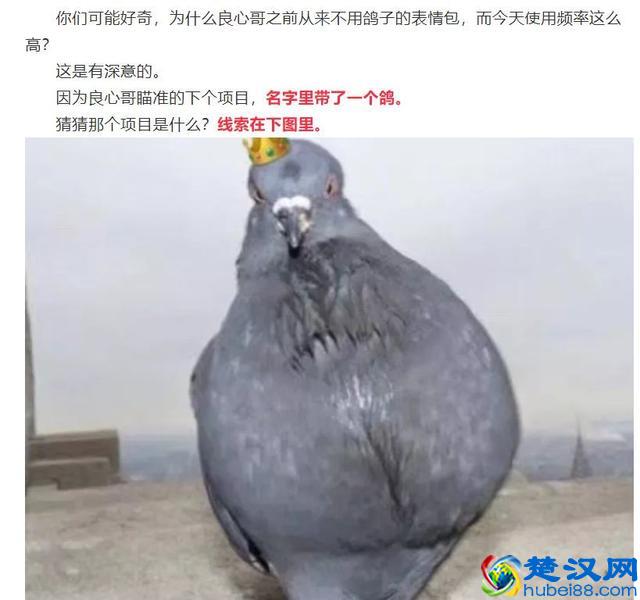 在出狱一年半后，王欣又想把自己送进去？