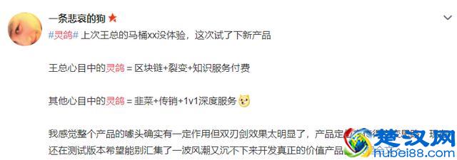 在出狱一年半后，王欣又想把自己送进去？