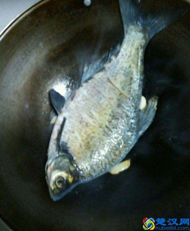 红烧鱼的家常做法，不粘锅不掉皮，比饭店做的都好吃