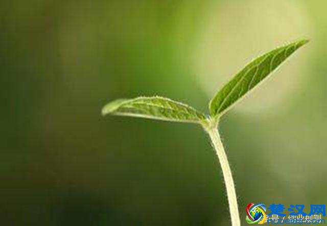 创业需要知道的16个基本知识