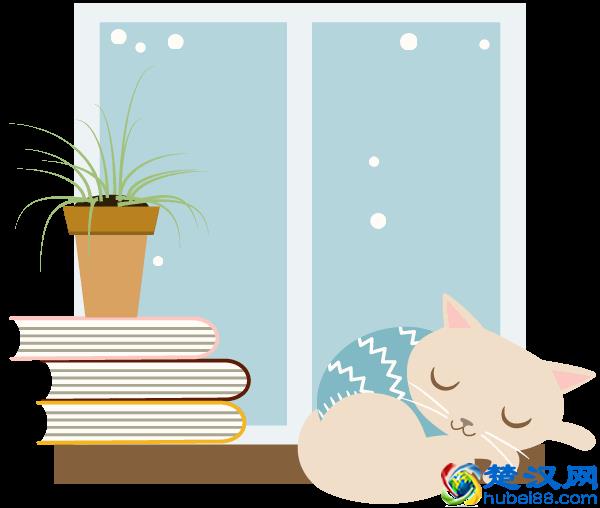 美丽会东·荐读｜丹桂飘香时