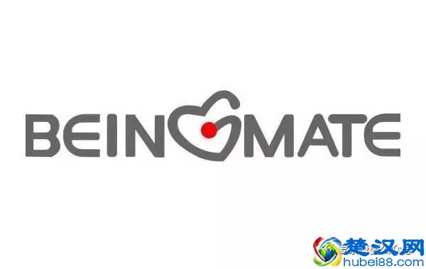 2017年十大母婴品牌加盟店排行榜