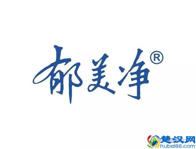 2017年十大母婴品牌加盟店排行榜