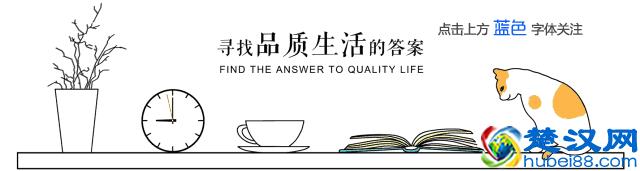 马云创业详细经历全在这里