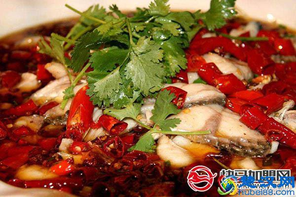 鱼火锅加盟连锁哪家好