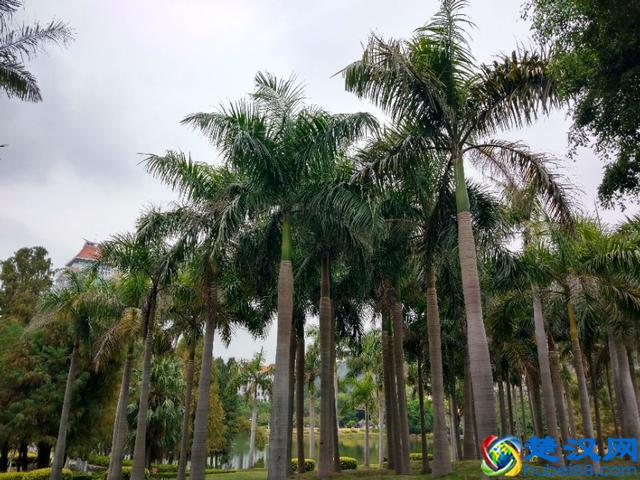 早上好！今天11.1日，小光棍节！送给牵挂着的人，愿你十一开好运