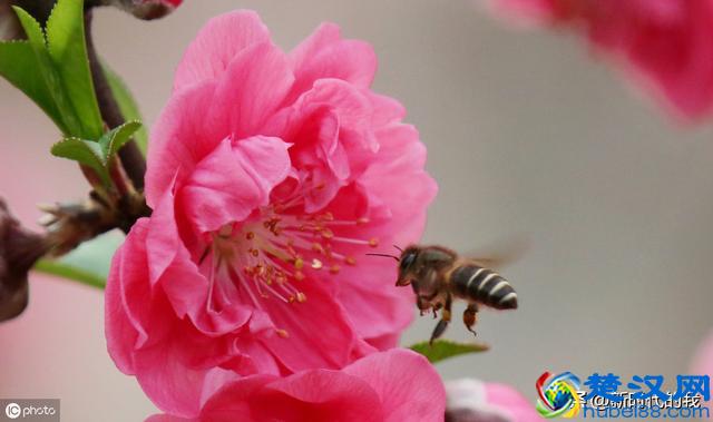 千里驾轻舟，不负如来不负卿