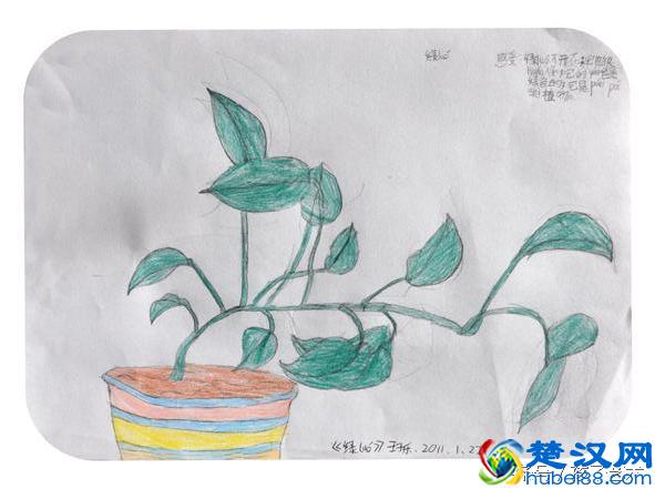 你了解什么是模式化美术教育吗？让孩子做回自己，不被模式化束缚