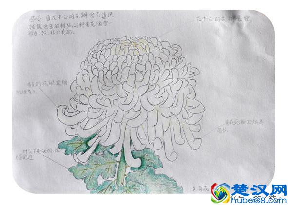 你了解什么是模式化美术教育吗？让孩子做回自己，不被模式化束缚