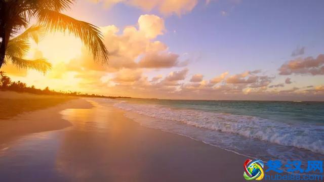 月全食是怎样形成的 月全食的形成原理